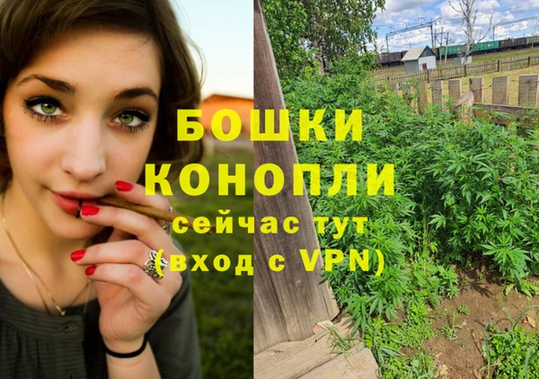 трава Нягань