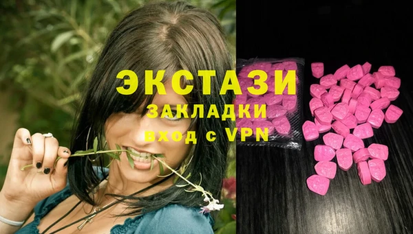 ешки Алексин