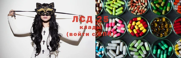 ешки Алексин