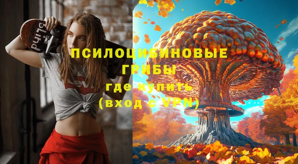 мдпв Няндома